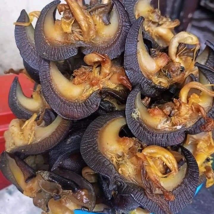 FreshCatch Snail (Igbin) Cleaned 1lb Pack - Ready-to-Cook Giant Snails for Pepper Soup, Stews & Traditional Dishes
