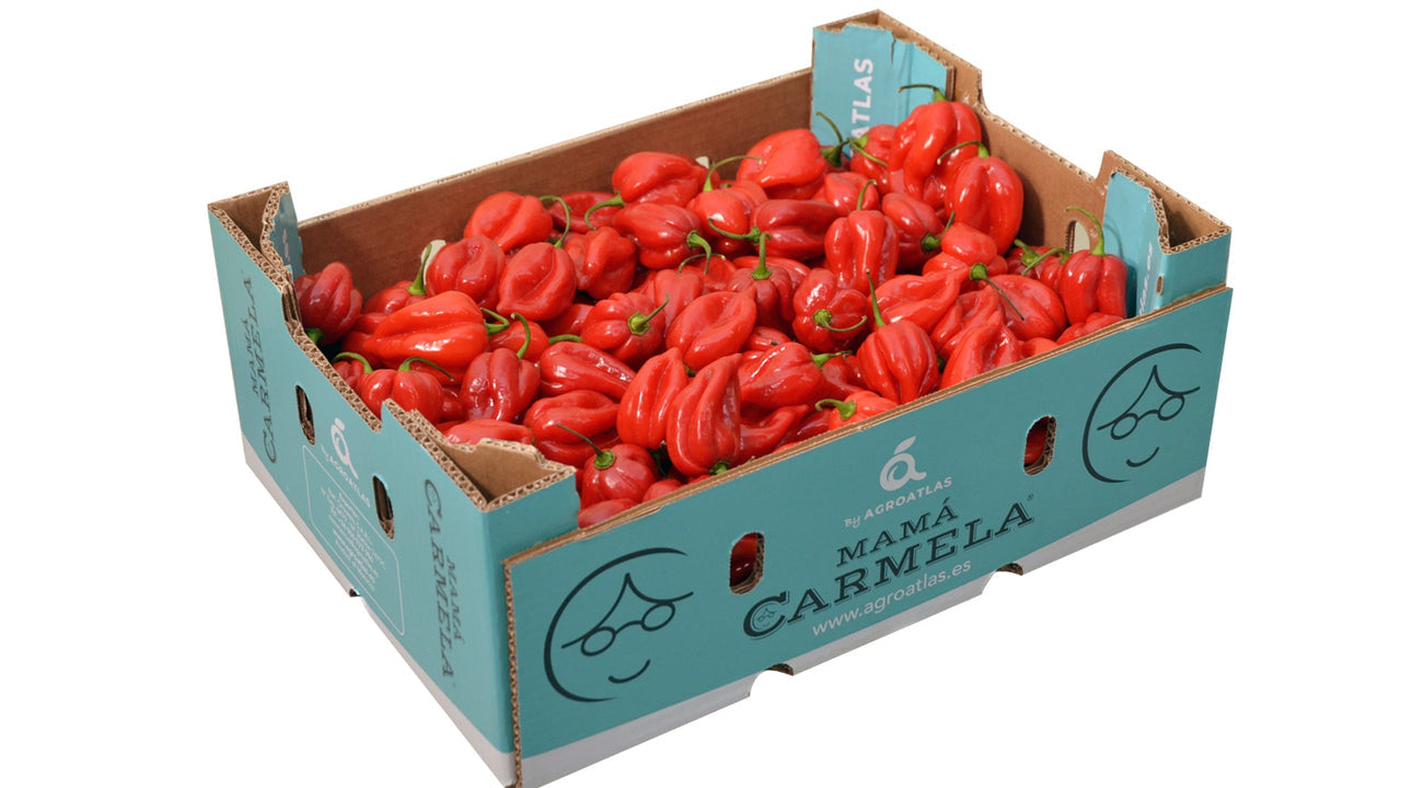 Fresh Red Habanero Pepper Hot & Flavorful Chili