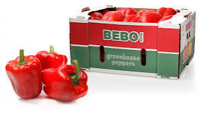 Fresh Red Bell Pepper Sweet & Crisp for Cooking & Salads